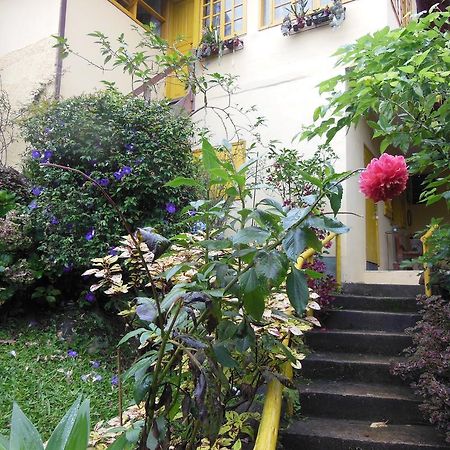 Rosa Amarela Hotel Sao Pedro da Serra  Zewnętrze zdjęcie
