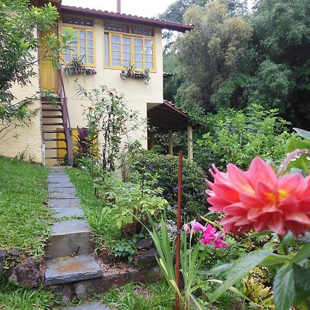 Rosa Amarela Hotel Sao Pedro da Serra  Zewnętrze zdjęcie